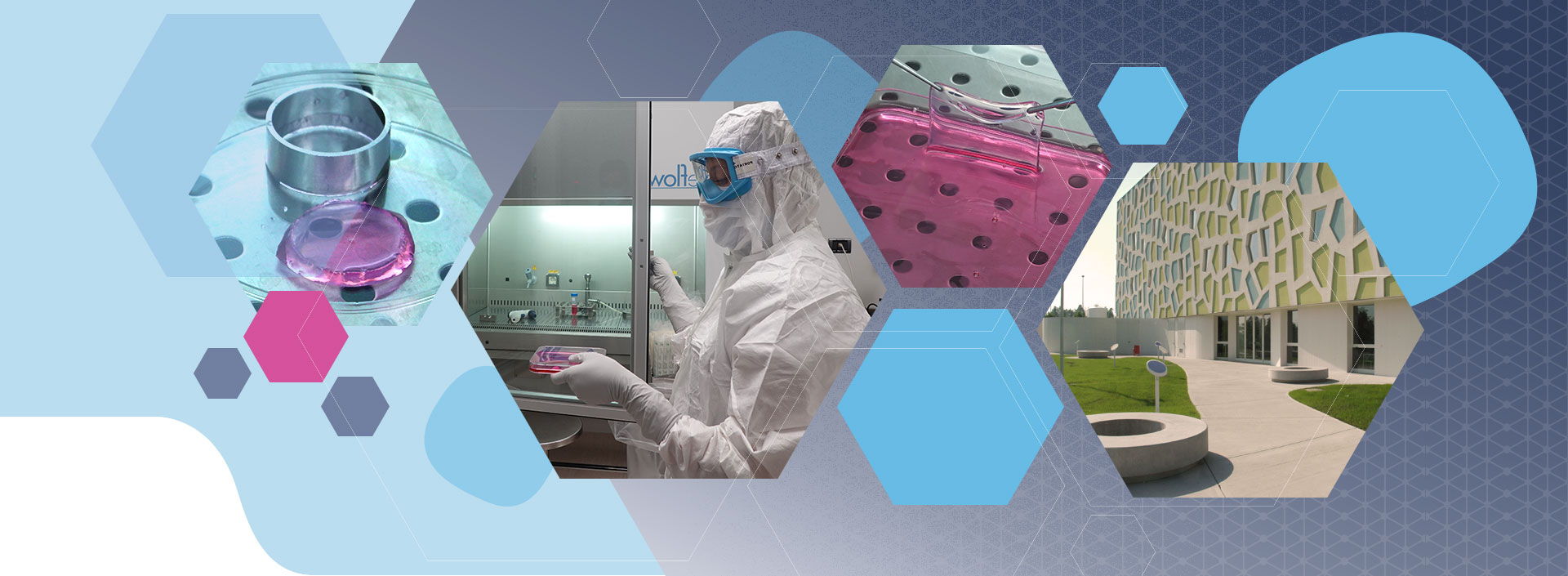 Holostem | Medicina Rigenerativa Holostem | Medicina Rigenerativa